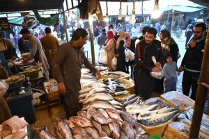 A vendor displaying fish to attract the customers at H-9 Weekly Bazaar in Federal Capital