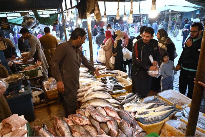 A vendor displaying fish to attract the customers at H-9 Weekly Bazaar in Federal Capital