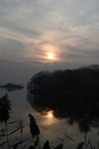A breathtaking sunset over Lake View Park provides a dramatic view for visitors enjoying the evening.