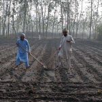 Farmers are busy ploughing their fields by hand using the old manual method in Naguman on the outskirts of the city.