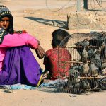 A woman vendor waits for a customer with her child to sell mynah birds display in cages to attract passersby and earn a living for her family in Latifabad