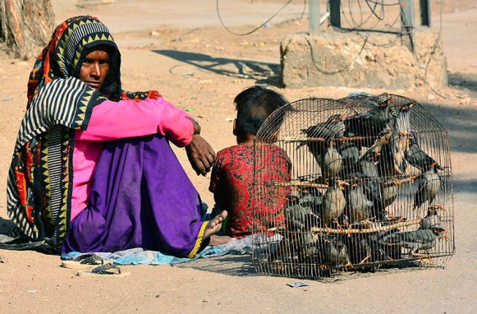 A woman vendor waits for a customer with her child to sell mynah birds display in cages to attract passersby and earn a living for her family in Latifabad