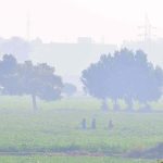 A view of thick morning fog engulfing the outskirt area of the city, reducing visibility during early hours