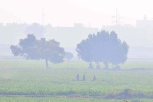 A view of thick morning fog engulfing the outskirt area of the city, reducing visibility during early hours