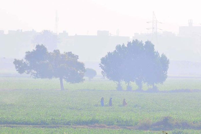 A view of thick morning fog engulfing the outskirt area of the city, reducing visibility during early hours
