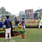 PHA staff prepare and decorate the garden ahead of the upcoming (Chrysanthemum) Gul daudi Flowers exhibition at Jillani Park.
