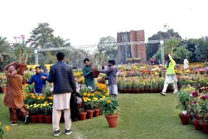 PHA staff prepare and decorate the garden ahead of the upcoming (Chrysanthemum) Gul daudi Flowers exhibition at Jillani Park.