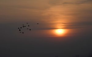 A striking sunrise over the federal capital as smog blankets the city.