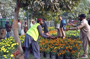 PHA staff prepare and decorate the garden ahead of the upcoming (Chrysanthemum) Gul daudi Flowers exhibition at Jillani Park.