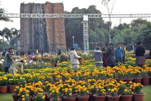 PHA staff prepare and decorate the garden ahead of the upcoming (Chrysanthemum) Gul daudi Flowers exhibition at Jillani Park.