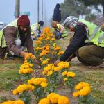 PDA workers maintain flower beds along the green belt near Northern Bypass