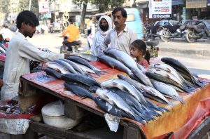 A family purchasing fresh fishes at a vendor’s roadside setup in the Provincial Capital.