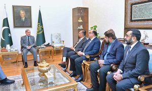 A delegation of US Physicians of Pakistani origin called on Prime Minister Muhammad Shehbaz Sharif