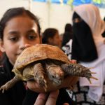A student holds a turtle on her palm during an animal show at a private school in Latifabad.