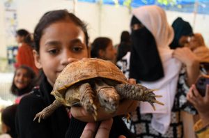 A student holds a turtle on her palm during an animal show at a private school in Latifabad.