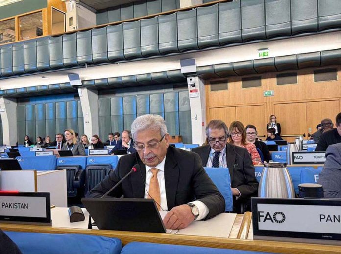 Federal Minister Rana Tanveer Hussain representing Pakistan at the 179th FAO Council Session
