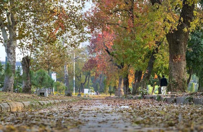 An attractive and eye catching view of colourful trees in autumn season in the Federal Capital