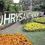 PHA staffers and workers is busy with preparations for Chrysanthemum Flower Exhibition 2025 at Race Course Park (Jillani Park)
