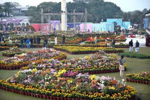 PHA staffers and workers is busy with preparations for Chrysanthemum Flower Exhibition 2025 at Race Course Park (Jillani Park)