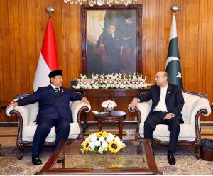 President Asif Ali Zardari in a one-on-one meeting with Indonesian President Prabowo Subianto, at Aiwan-e-Sadr.