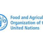 Global forest products trade, production show signs of recovery in 2024: UN agency