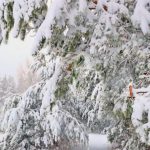 Mysterious snow in Minsk gets explanation from weather experts