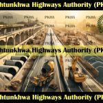Enhanced roads connectivity through CPEC to put KP into industrial, business hub