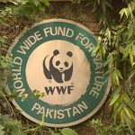 Community-led action urged to combat climate change in GB