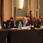 Commerce Minister for deeper collaboration among D-8 countries to meet emerging global challenges