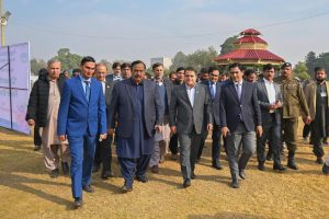 Autumn-blooming daisy exhibition opens at Allama Iqbal Park