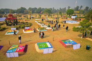 Autumn-blooming daisy exhibition opens at Allama Iqbal Park
