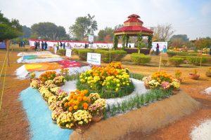 Autumn-blooming daisy exhibition opens at Allama Iqbal Park