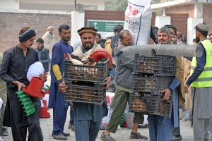 KSrelief concludes second phase of livestock-based economic empowerment project in Pakistan