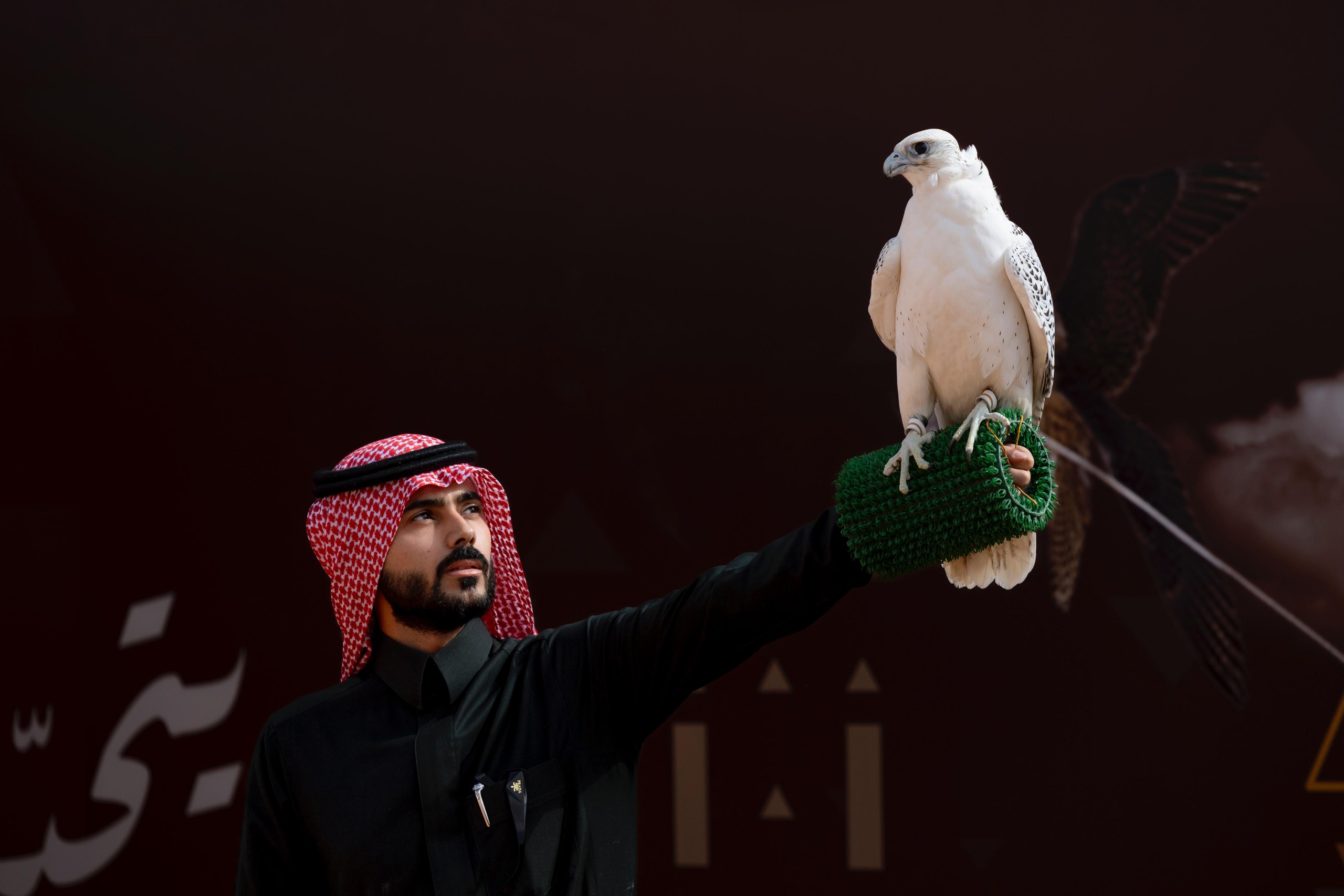 King Abdulaziz Falconry Festival takes global lead with 16,600 falcon participation in 6 years