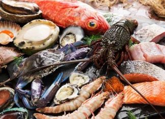 Pakistan’s Seafood exports to China surge by 24% in 2025 CPEC