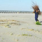 12 canals closed in Punjab for annual maintenance, desilting