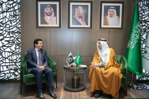 Ali Pervaiz Malik highlights energy, mineral opportunities at FMF