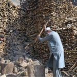 Laborers are busy cutting wood into pieces for selling purpose at his workplace in the Federal Capital