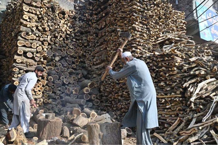 Laborers are busy cutting wood into pieces for selling purpose at his workplace in the Federal Capital