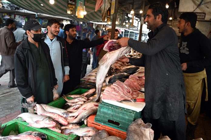 A vendor displaying fish to attract the customers at Weekly Bazaar in the Federal Capital