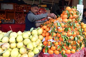 A vendor arranges fresh guavas and citrus fruits to attract customers at a stall at Sunday Bazaar, Peshawar Morr