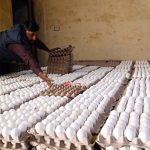 A vendor arranges eggs at his shop to attract customers on Lehtrar Road