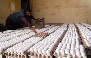 A vendor arranges eggs at his shop to attract customers on Lehtrar Road