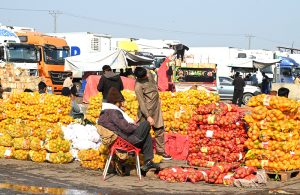 Vendors displaying seasonal fruit oranges to attract customers at Fruit and Vegetable Market