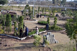 Workers are busy at the Faizabad Interchange, actively engaged in tree plantation and landscaping activities. The development is part of an urban beautification initiative in the federal capital, where extensive tree-planting drives are underway