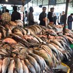 A vendor displaying fish to attract the customers at H-9 Weekly Bazaar in Federal Capital