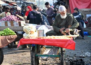 Vendors displaying seasonal fruit oranges to attract customers at Fruit and Vegetable Market