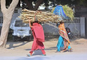 Gypsy women on the way while carrying dry branches of tree and grass on their head at Bhitai Hospital Road.