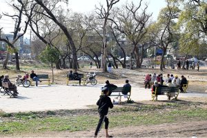 Workers are busy at the Faizabad Interchange, actively engaged in tree plantation and landscaping activities. The development is part of an urban beautification initiative in the federal capital, where extensive tree-planting drives are underway