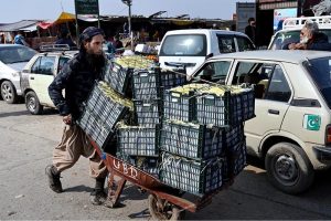 A vendor displays orange sacks for sale to attract customers at a fruit and vegetable market in the Federal Capital